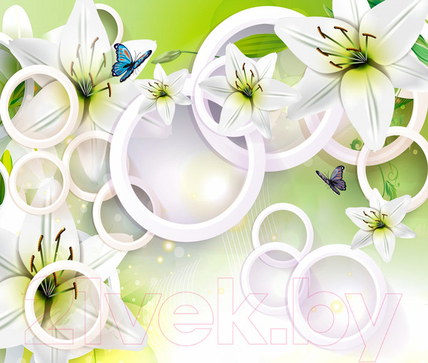 Изображение товара Фотообои листовые Citydecor Круги 3D (300x254)