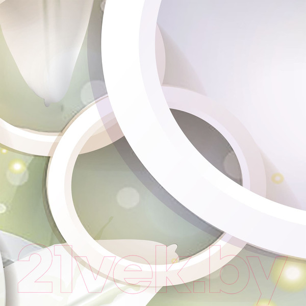 Изображение товара Фотообои листовые Citydecor Круги 3D (300x254)