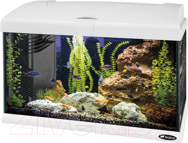 Изображение товара Аквариум Ferplast Capri 50 Led / 65015111 (40л, белый)
