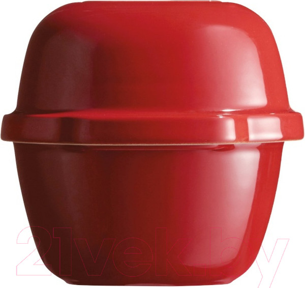 Изображение товара Форма для выпечки Emile Henry 345503 (гранат)