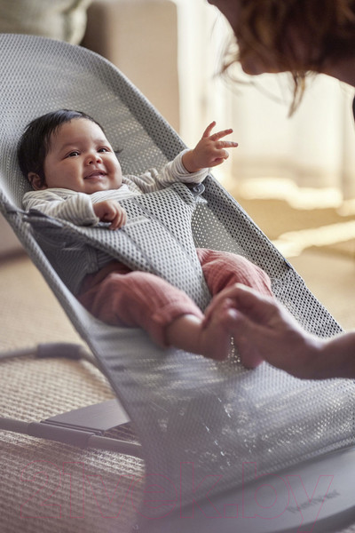 Изображение товара Детский шезлонг BabyBjorn Bliss Mesh 0060.18