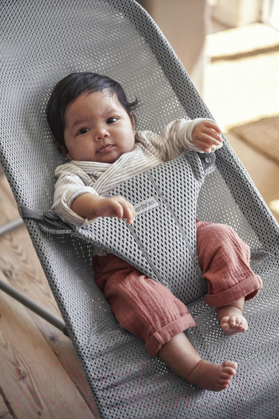 Изображение товара Детский шезлонг BabyBjorn Bliss Mesh 0060.18