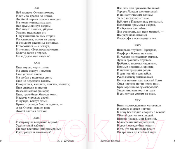 Изображение товара Книга АСТ Евгений Онегин (Пушкин А. С.)