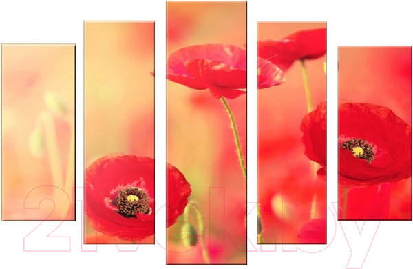 Изображение товара Картина модульная Arthata 5m-542 (160x90)