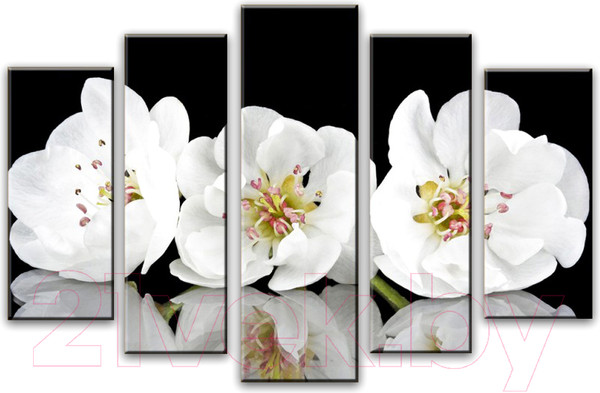 Изображение товара Картина модульная Arthata 5m-555 (105x60)