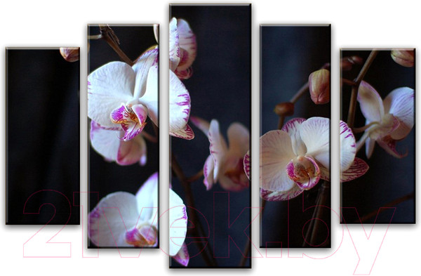 Изображение товара Картина модульная Arthata 5m-560 (105x60)