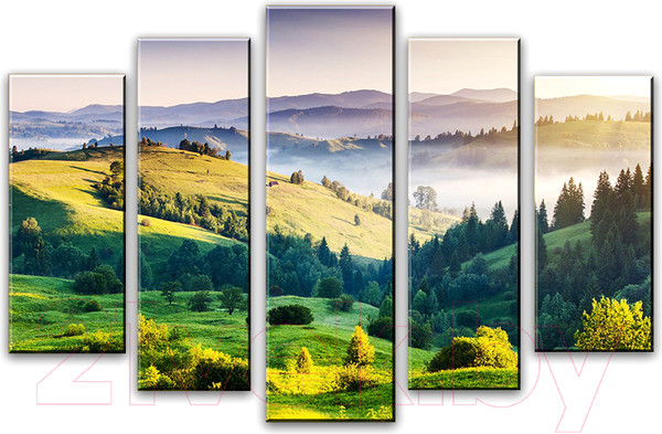 Изображение товара Картина модульная Arthata 5m-565 (160x90)