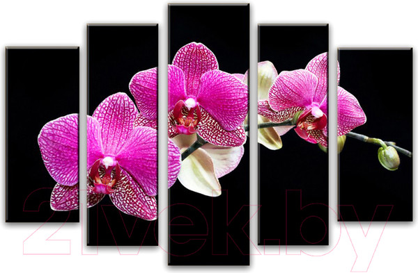 Изображение товара Картина модульная Arthata 5m-568 (130x80)