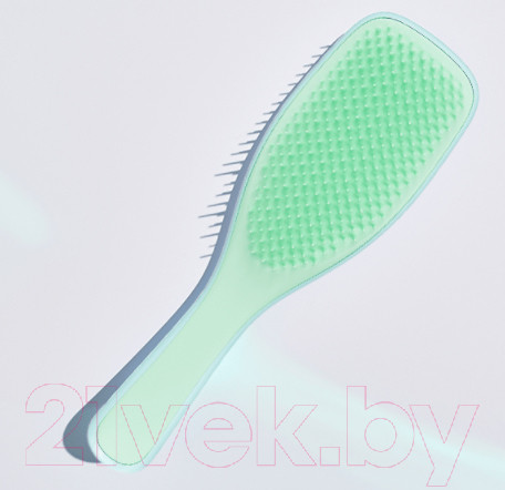 Изображение товара Расческа-массажер Tangle Teezer The Wet Detangler Neo Mint Pear