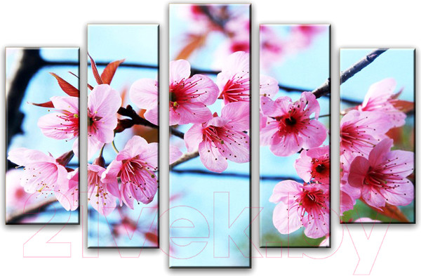 Изображение товара Картина модульная Arthata 5m-572 (105x60)