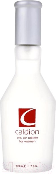Туалетная вода Hunca Caldion For Woman (100мл )