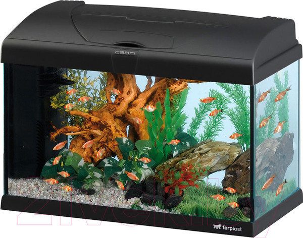 Изображение товара Аквариум Ferplast Capri 50 Led / 65015117 (40л, черный)