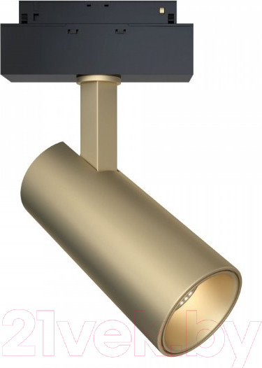 Изображение товара Трековый светильник Maytoni Focus TR019-2-15W3K-MG