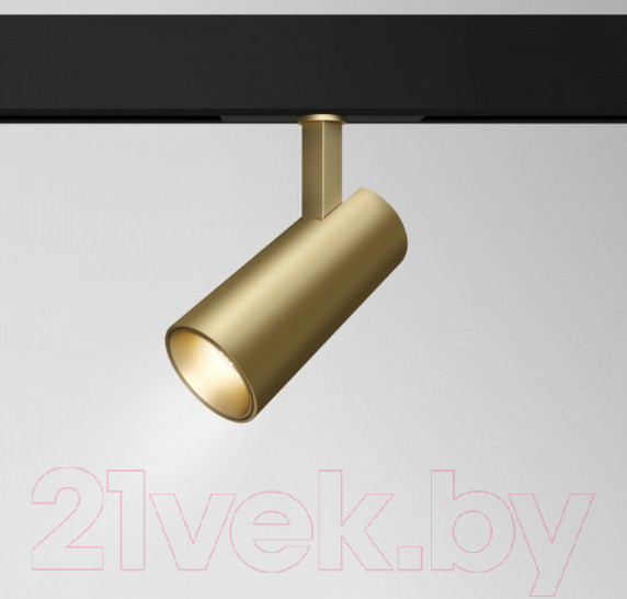 Изображение товара Трековый светильник Maytoni Focus TR019-2-15W3K-MG
