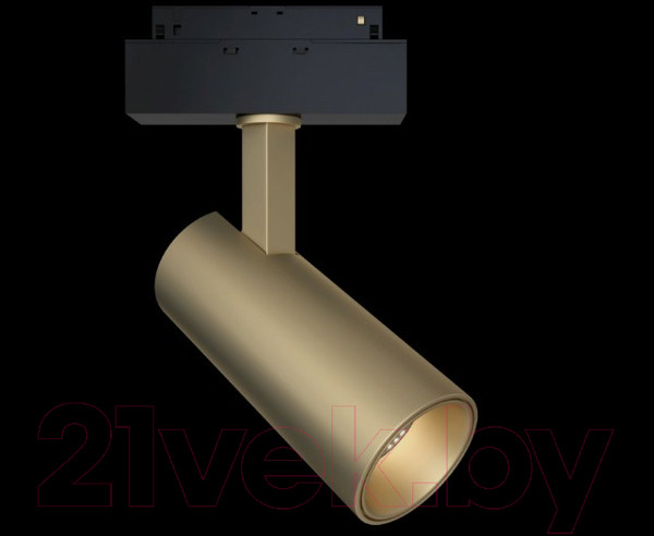 Изображение товара Трековый светильник Maytoni Focus TR019-2-15W3K-MG