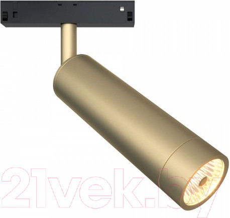 Изображение товара Трековый светильник Maytoni Focus TR019-2-7W4K-MG