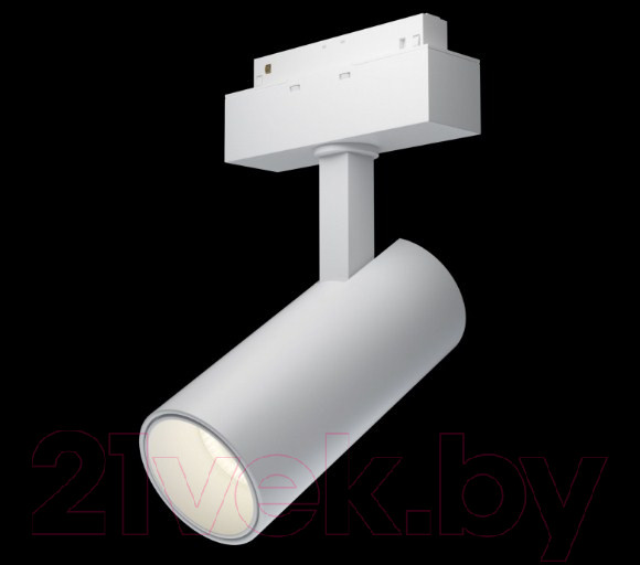 Изображение товара Трековый светильник Maytoni Focus TR019-2-15W4K-W
