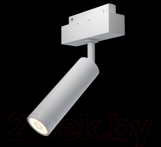 Изображение товара Трековый светильник Maytoni Focus TR019-2-7W3K-W