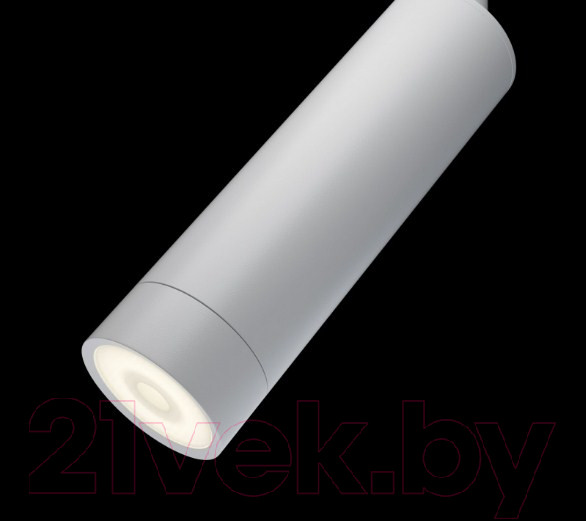 Изображение товара Трековый светильник Maytoni Focus TR019-2-7W3K-W