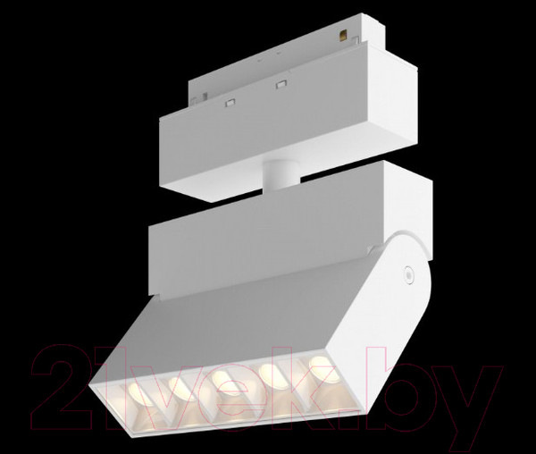 Изображение товара Трековый светильник Maytoni Points TR015-2-10W4K-W