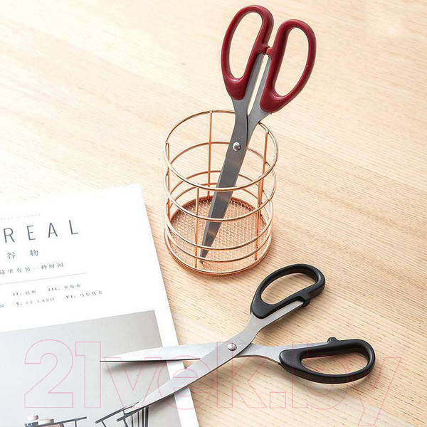 Изображение товара Ножницы канцелярские Deli 6010