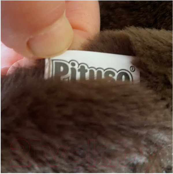 Изображение товара Игрушка-прыгун Pituso Лошадка / GS015 (черный)