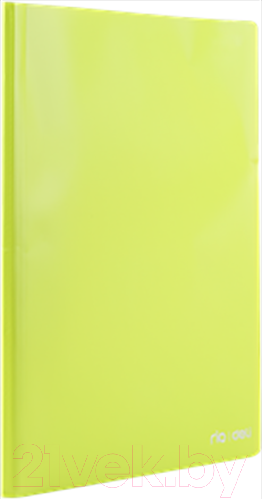 Изображение товара Папка для бумаг Deli Рио А4 / B00302 (салатовый)