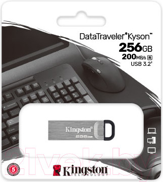 Изображение товара USB flash накопитель Kingston Kyson 256GB USB 3.2 Gen 1 (DTKN/256GB)