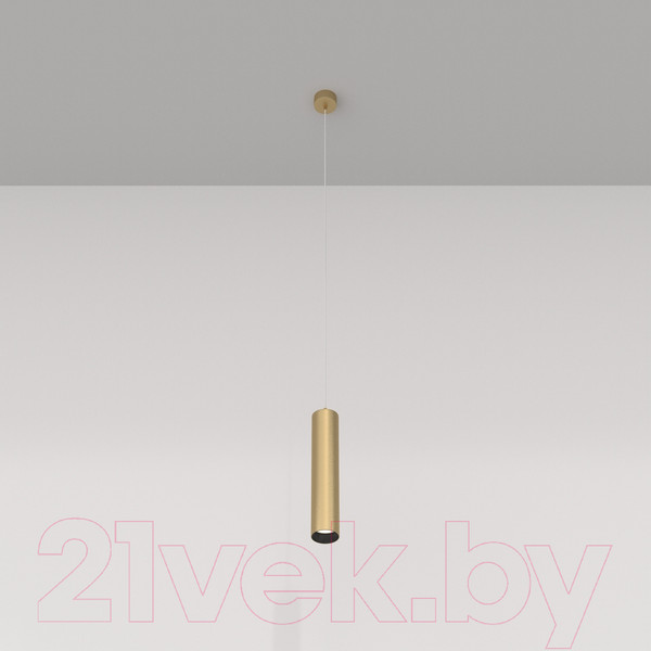 Изображение товара Потолочный светильник Maytoni Focus P075PL-01MG