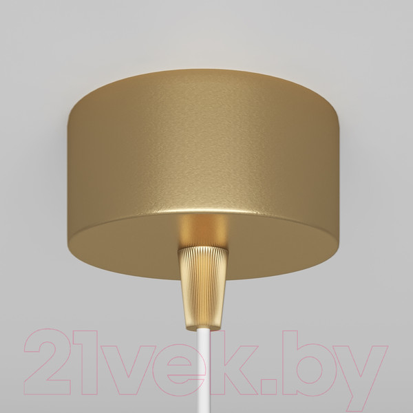 Изображение товара Потолочный светильник Maytoni Focus P075PL-01MG