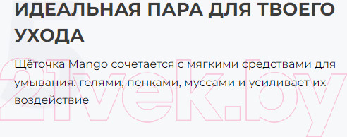 Изображение товара Электрощетка для лица Gess Mango GESS-699