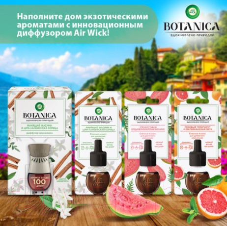 Изображение товара Флакон для аромадиффузора Air Wick Розовый грейпфрут и марокканская мята (19мл)