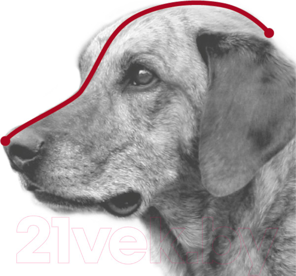 Изображение товара Намордник для собак Trixie 17606 (L, пластиковый с нейлоновым ремешком)