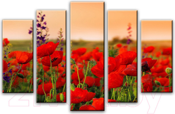 Изображение товара Картина модульная Arthata 5m-601 (160x90)