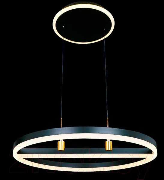 Изображение товара Потолочный светильник Natali Kovaltseva High-Tech Led Lamps 82048 (черный)
