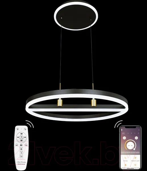 Изображение товара Потолочный светильник Natali Kovaltseva High-Tech Led Lamps 82048 (черный)