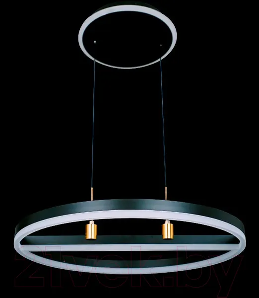 Изображение товара Потолочный светильник Natali Kovaltseva High-Tech Led Lamps 82048 (черный)