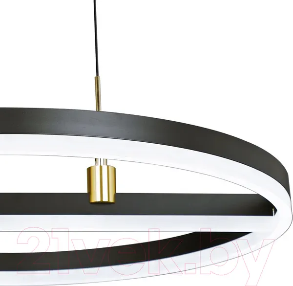 Изображение товара Потолочный светильник Natali Kovaltseva High-Tech Led Lamps 82048 (черный)