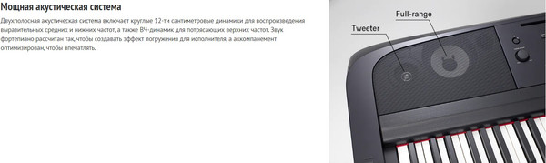 Изображение товара Цифровое фортепиано Yamaha DGX-670B