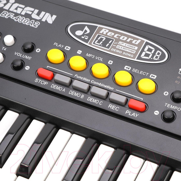 Изображение товара Музыкальная игрушка Наша игрушка Синтезатор / BF-430A2