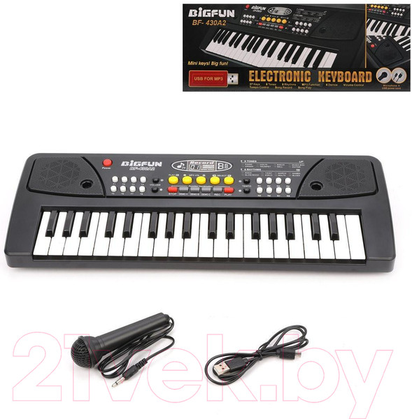 Изображение товара Музыкальная игрушка Наша игрушка Синтезатор / BF-430A2