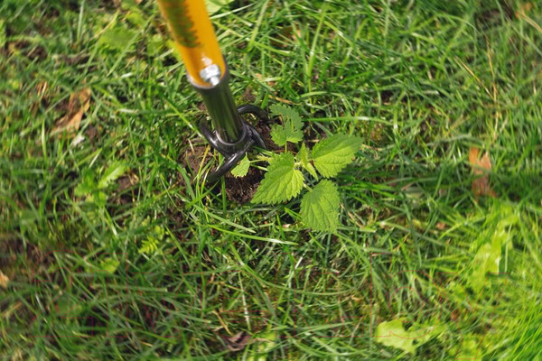 Изображение товара Культиватор ручной Tornadica TOR-32SOR