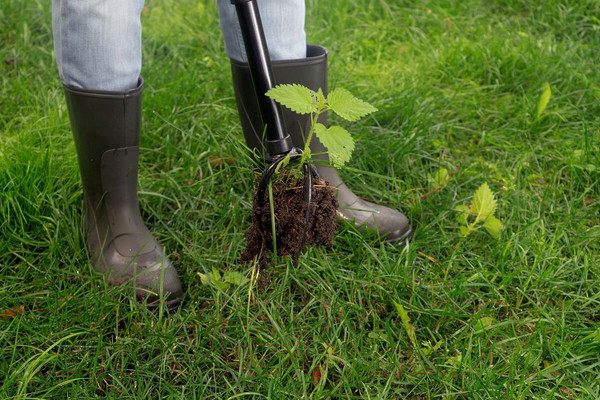 Изображение товара Культиватор ручной Tornadica TOR-32SOR