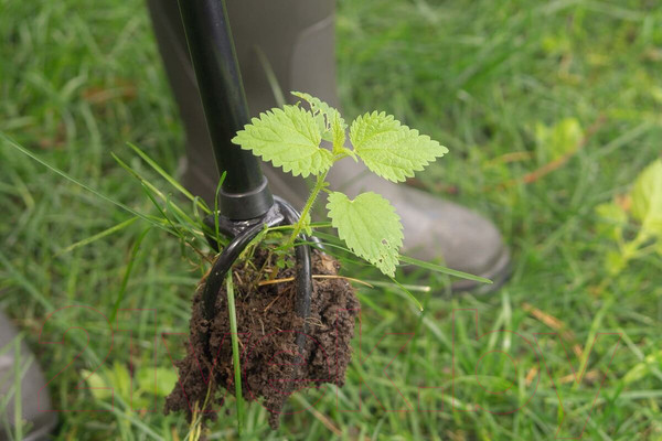 Изображение товара Культиватор ручной Tornadica TOR-32SOR