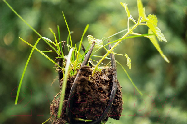 Изображение товара Культиватор ручной Tornadica TOR-32SOR