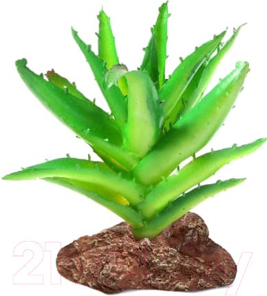 Изображение товара Декорация для террариума Laguna Алоэ / 84044003