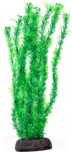 Изображение товара Декорация для аквариума Laguna Лигодиум / 74044047 (зеленый)