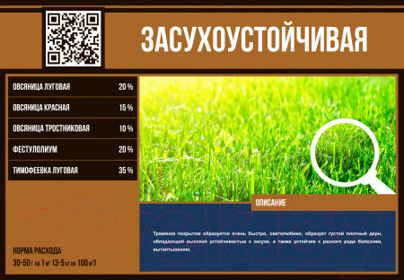 Изображение товара Семена газонной травы БЕРКУТ Засухоустойчивая (1кг)