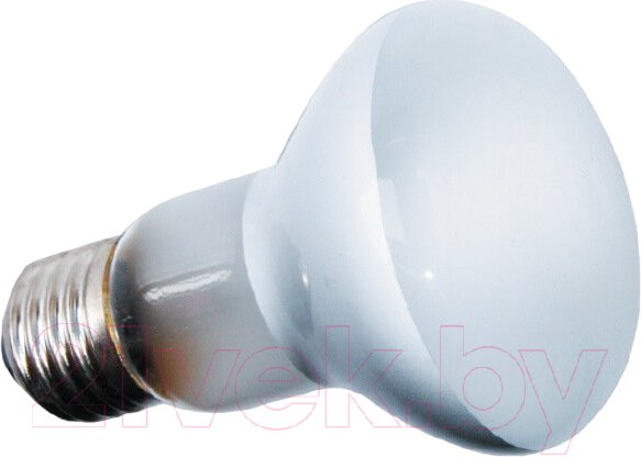 Изображение товара Лампа для террариума Repti-Zoo BeamSpot BS63075 / 83725021
