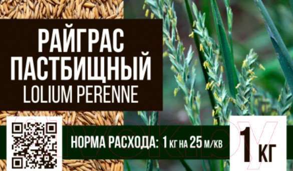 Изображение товара Семена газонной травы БЕРКУТ Райграс пастбищный (1кг)